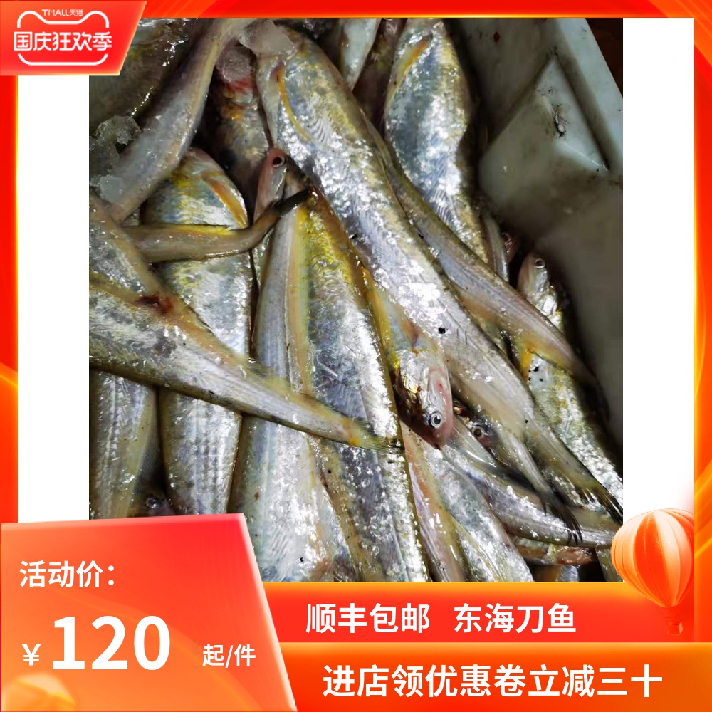 2022年刀鱼500克崇明冰鲜海
