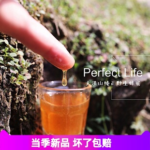 随州大洪山野生蜂蜜土蜂蜜一斤装包邮