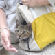 大容量手提宠物外出包猫咪便携包防水小宠猫咪小狗宠物外出斜挎包