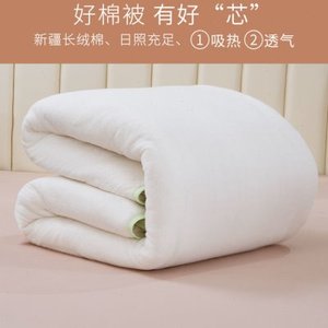 5斤新疆棉被被芯纯棉花被手工棉被棉絮被子长绒棉床垫褥子春秋被