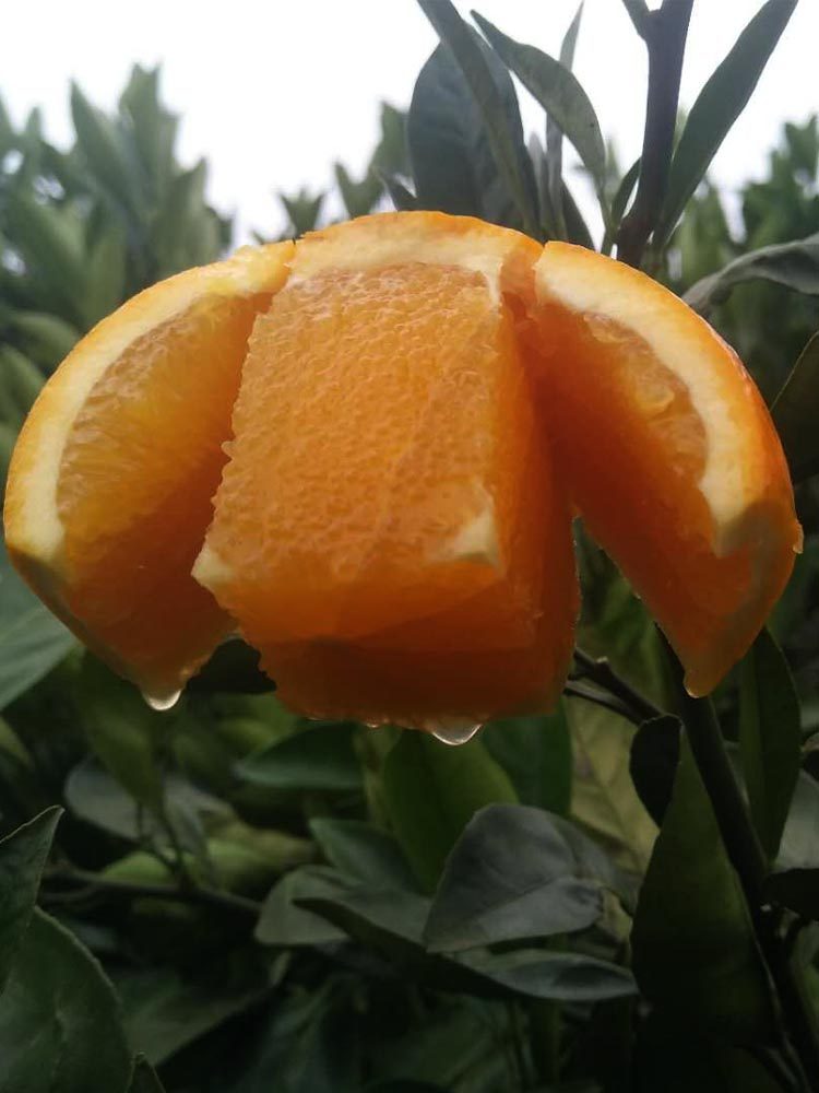 网友分享在meiguo.com的图片