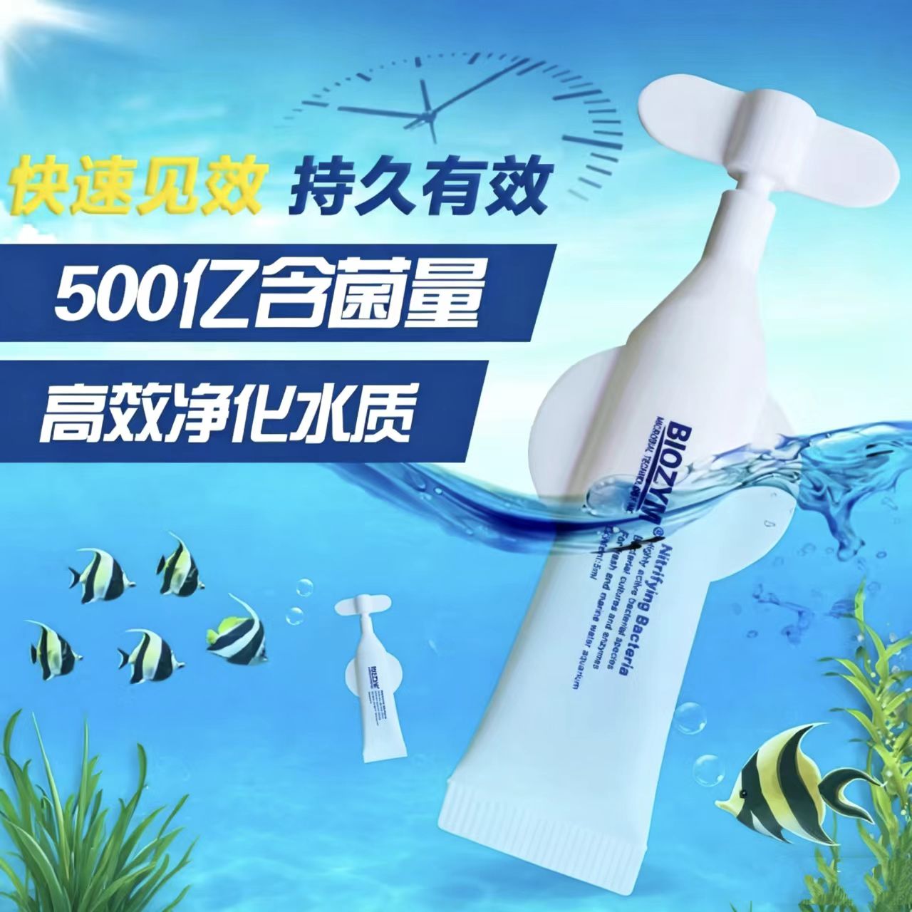 百因美小飞机硝化细菌消化细菌