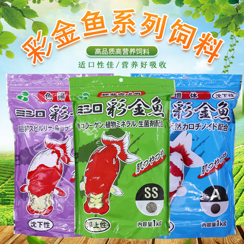 日本彩金鱼金鱼育成增体增色扬