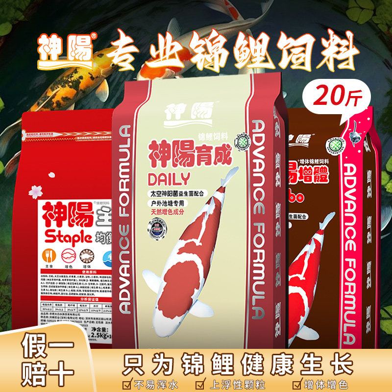神阳锦鲤鱼饲料育成长个增色增体图片