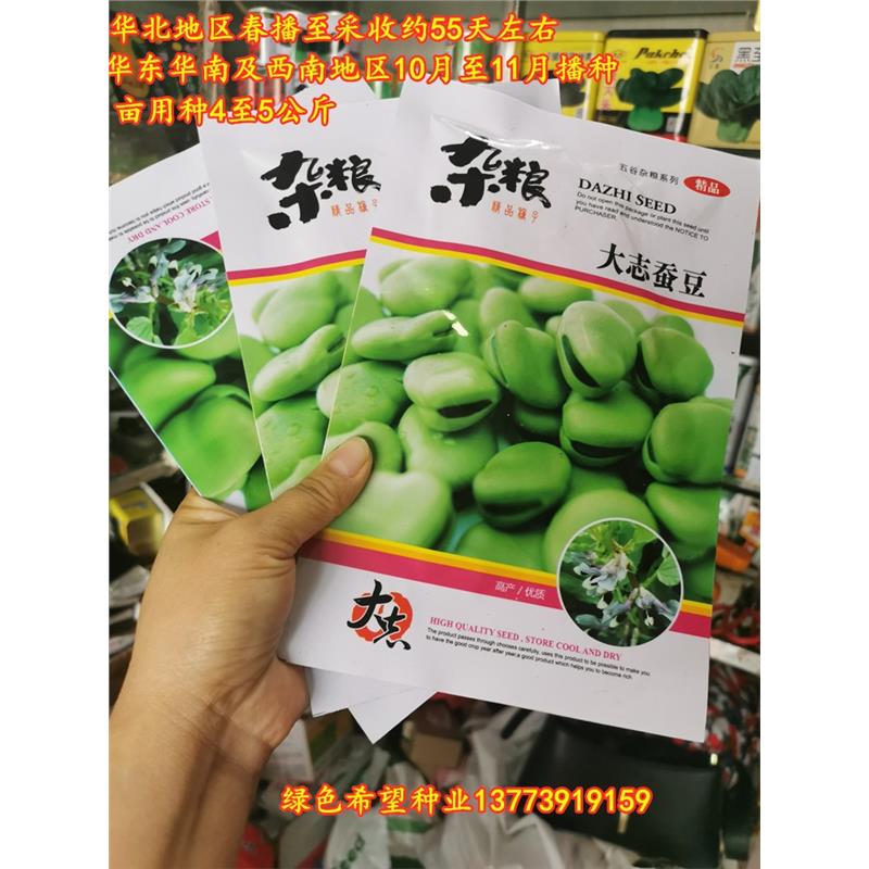 蚕豆种子特大高产蚕豆种籽南方农家菜园大田用种秋冬季蔬菜种孑子