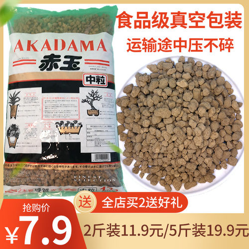 日本进口大包装赤玉土多肉火山石
