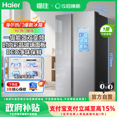 海尔537L双开门冰箱一级能效双变频节能风冷无霜黑金净化抗菌家用