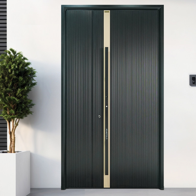 【国补15%】爱仕堡20000元套餐包 智能防盗门进户门入户门安全门