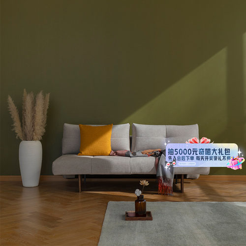 小户型沙发床依诺维绅折叠客厅