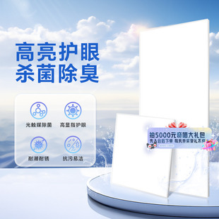 箭集成吊顶平板灯300x600铝扣板卫生间厨房面板灯牌 国补20%