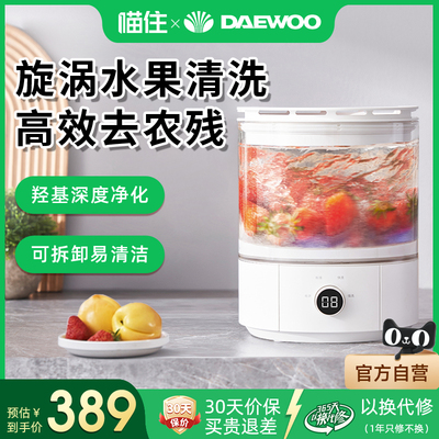 大宇果蔬清洗机多功能杀菌净化机