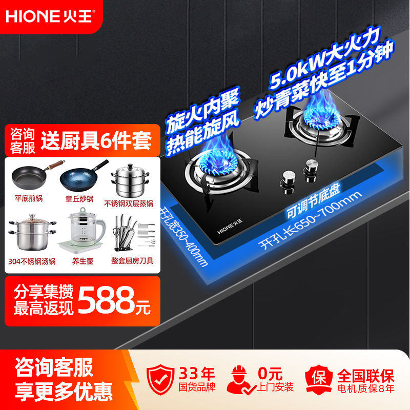 【政府补贴】火王双边定时猛火灶