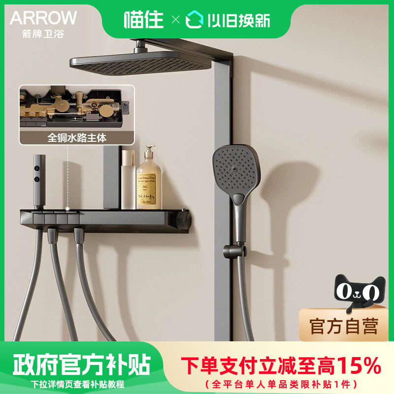 ���ڲ�����ǹ��-�Ĺ��ܳ�ˮ��Ļ����AE34126 ������ԡ110����������ԡ������װ���ٰ����ٲ�������ð�ȫ���� 999Ԫ(������)