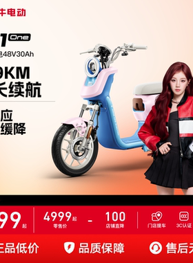 【常州专享】小牛电动U1 One 4830锂电池长续航智能电动自行车