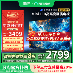 65英寸MiniLED高阶分区4K240Hz超高刷平板电视机 24款 雷鸟鹤6 PRO