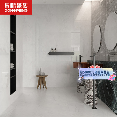 2025东鹏瓷砖套餐现代简约客厅地砖瓷砖地板砖墙砖