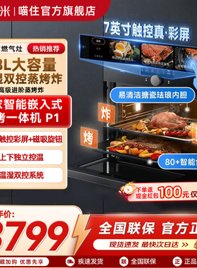 小米米家嵌入式蒸烤箱P1家用智能控温烹饪一体机58L大容量多功能
