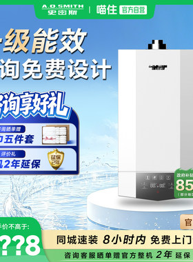【门店同款】AO史密斯燃气壁挂炉采暖热水家用一级能效产品定制