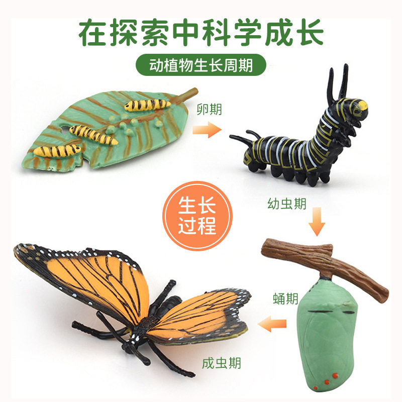 动物玩具仿真昆虫益智玩具套装