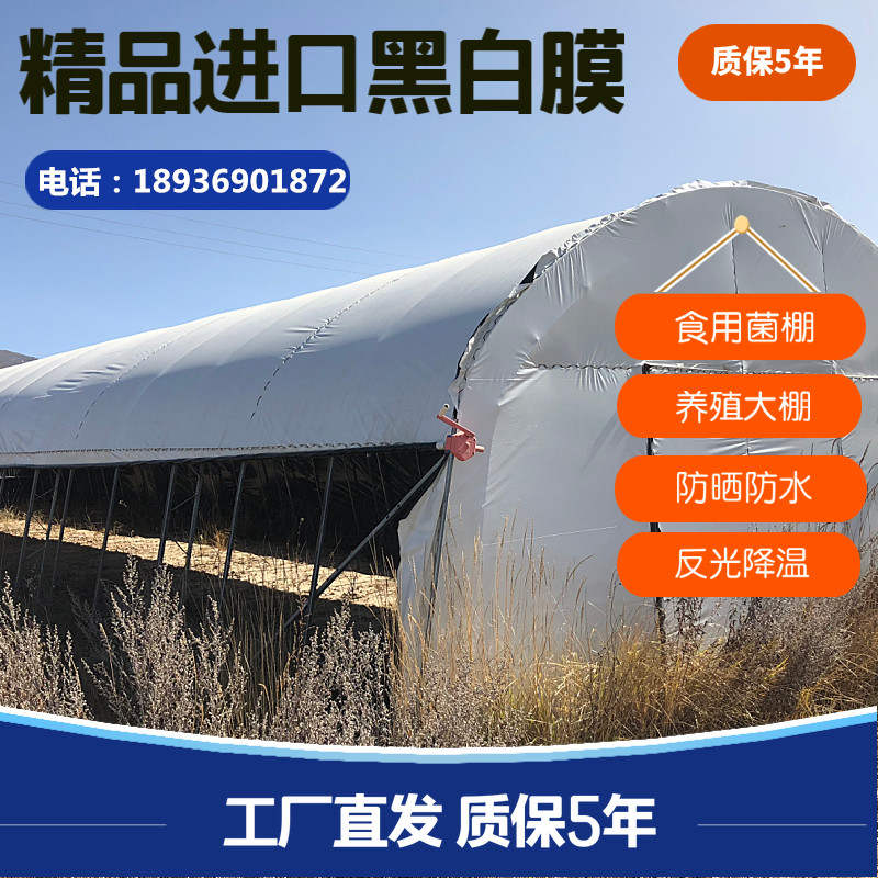 农用养殖大棚反光塑料布进口防晒
