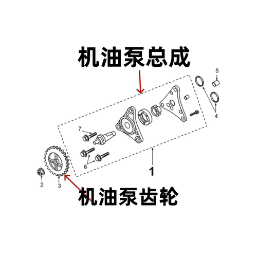 原厂标致摩托小蜜蜂50机油泵齿轮