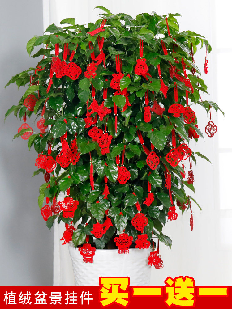 新年元旦盆景挂件挂饰过年植物
