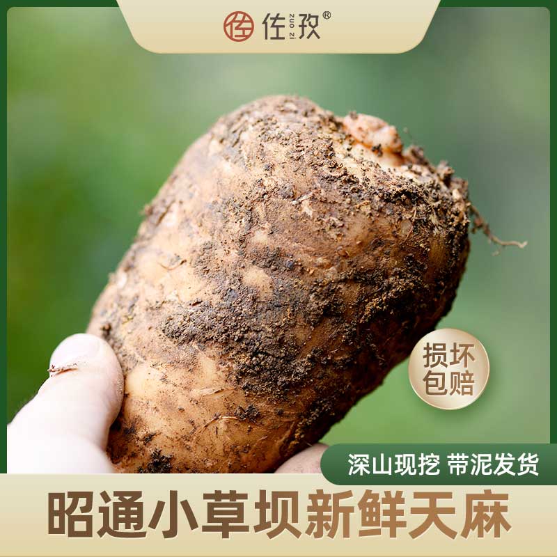 新鲜天麻云南深山现挖活天麻中药大方乌天麻鲜500g非野生天麻特级|ruв категории традиционные питательный пища, другие традиционные тоник, Гастродия высокая - от Buy2taobao.com для оказания профессиональной услуги покупки агента Taobao