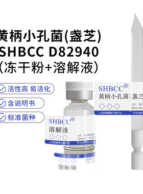 黄柄小孔菌SHBCC D82940非模式菌株综合马铃薯培养基冷藏4-10℃现