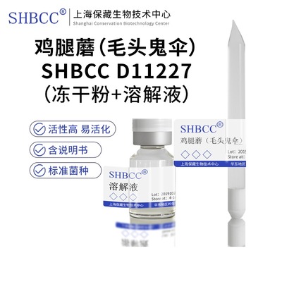 鸡腿蘑（毛头鬼伞）SHBCCD11227