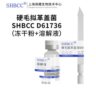 硬毛拟革盖菌 10℃斜面培养 非模式 菌株综合PDA琼脂25℃培养冷藏4