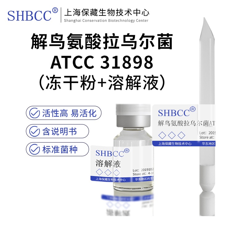 解鸟氨酸拉乌尔菌ATCC 31898模式菌株冻干粉4-10度保存