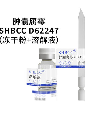 肿囊腐霉ACCC 36291非模式菌株玉米粉琼脂25℃斜面培养物
