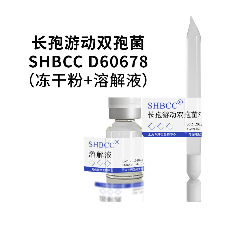 长孢游动双孢菌atcc 23867模式菌株isp-4培养基28℃培养冻干物