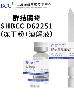 群结腐霉ACCC 36294非模式菌株玉米粉琼脂冷藏4-10℃斜面培养物