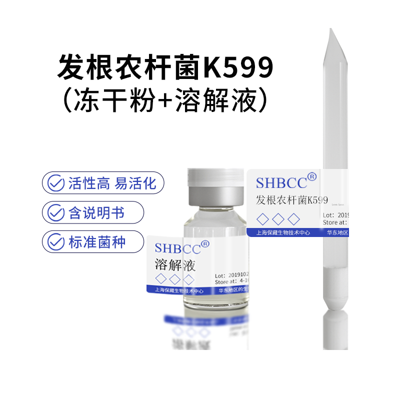 发根农杆菌K599冻干粉SHBCC