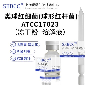类球红细菌(球形红杆菌)