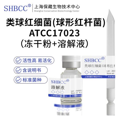 类球红细菌(球形红杆菌)