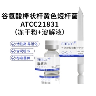 谷氨酸棒状杆黄色短杆菌ATCC21831营养琼脂培养基活化甘油斜面菌