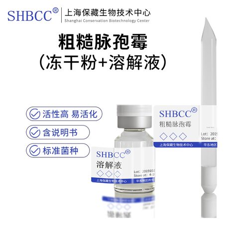 粗糙脉孢霉SHBCCD24646