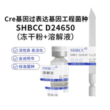 Cre基因过表达基因工程菌种培养服务 SHBCC D24650 冻干粉 包邮