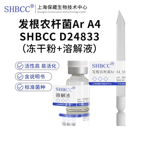 发根农杆菌ArA4SHBCCD24833TY