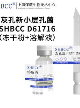 灰孔新小层孔菌SHBCC D61716非模式菌株综合PDA琼脂25℃培养冷藏