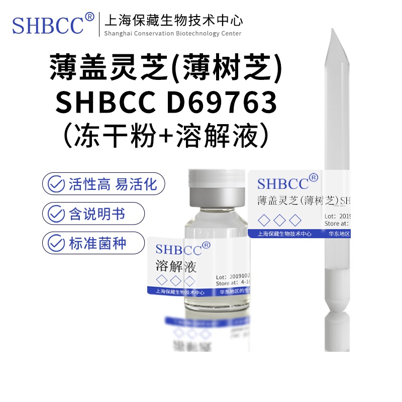 薄盖灵芝(薄树芝)SHBCCD69763