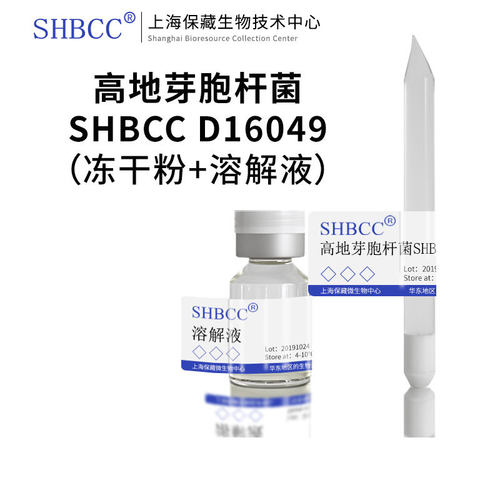 shmcc高地芽胞杆菌营养肉汁琼脂