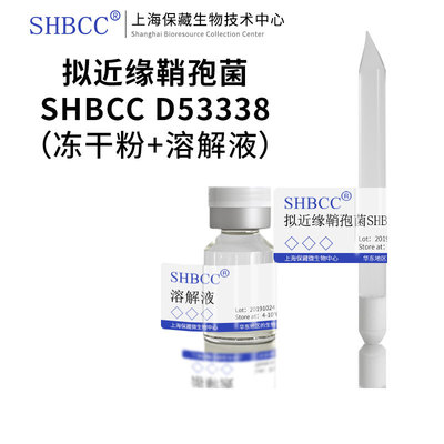 拟近缘鞘孢菌SHBCC冻干粉现货