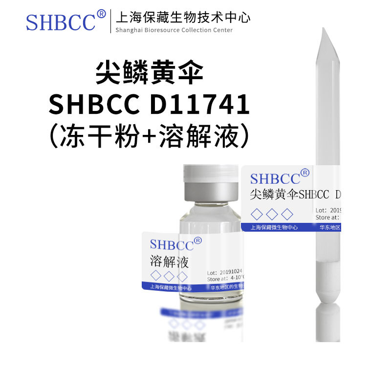 尖鳞黄伞培养基现货生物试剂科研