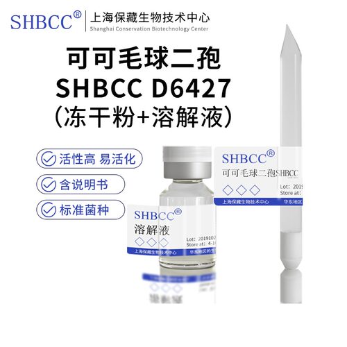 可可毛球二孢SHBCCD64270