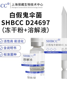 白假鬼伞菌SHBCC D24697 PDA培养基25～26℃培养活化好氧冻干粉