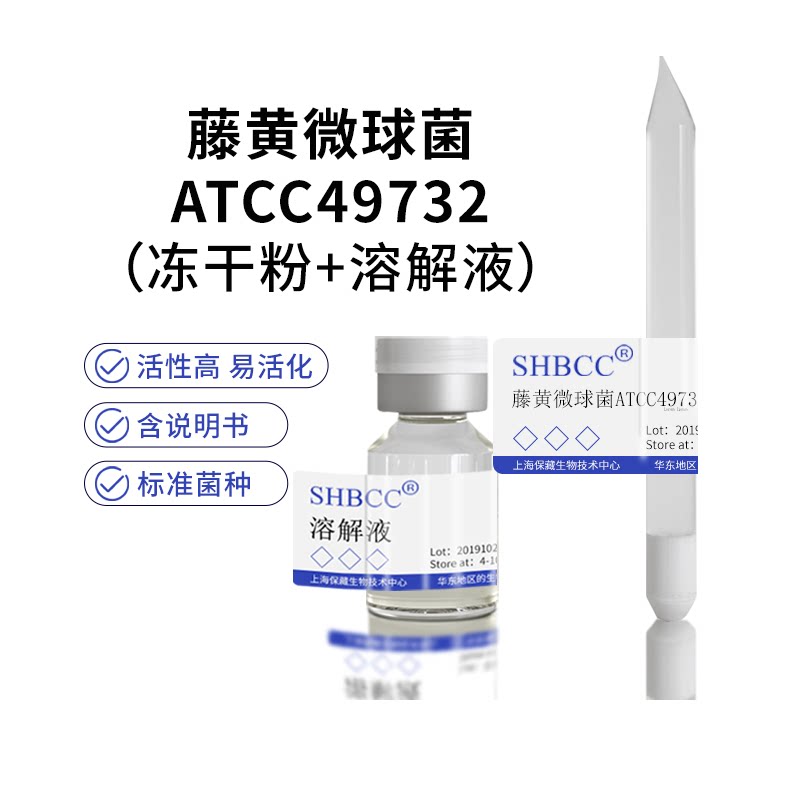 包邮冻干粉藤黄微球菌atcc49732菌种培养服务