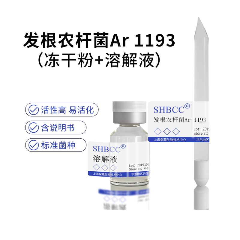 发根农杆菌ar msu440用于玉米烟草茶树青蒿等ty培养基活化试管菌